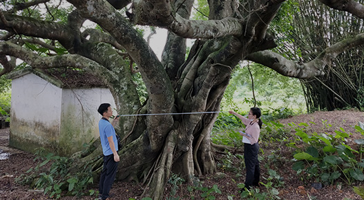 ��̬�Ӳ���