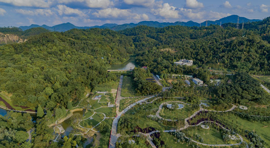 ��̬�ƻ���ѯ