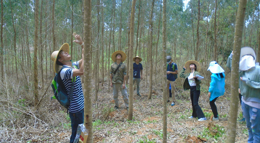 �ֵر�������