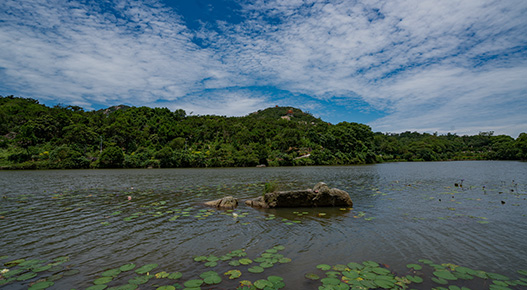 ��̬����޸�